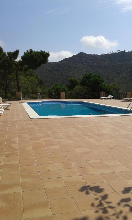 Riviera Apartment Benicassim Exterior photo